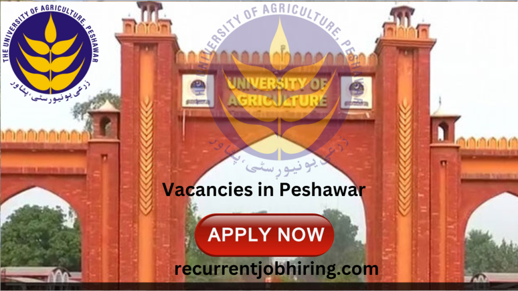 Vacancies in Peshawar